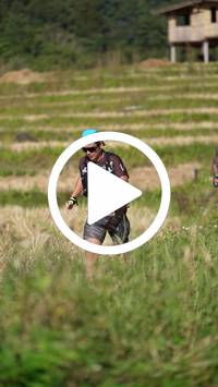 BIB:  <button type="button" onclick="openModal(26787074)" class="btn btn-primary btn-sm float-right" data-toggle="modal" data-target=".modal-high-quality">
                <i class="fa fa-download"></i> Download
                </button>